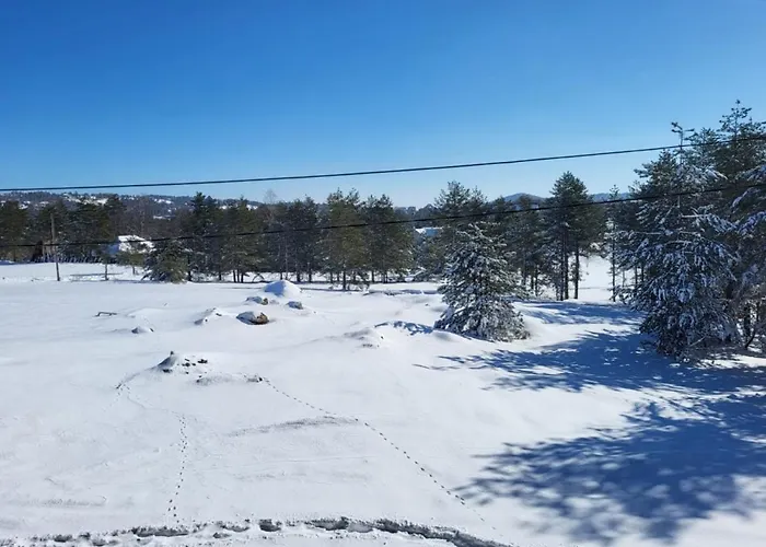 Διαμέρισμα Adam